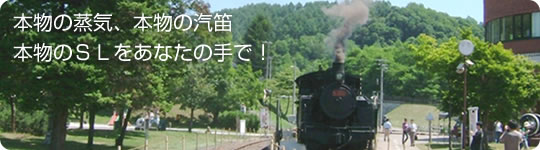 ËÜʪ¤Î¾øµ¤¡¢ËÜʪ¤Îµ¤Å«¡¡ËÜʪ¤Î£Ó£Ì¤ò¤¢¤Ê¤¿¤Î¼ê¤Ç¡ª